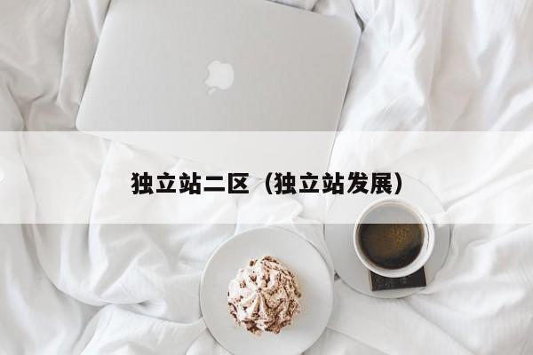 独立站二区（独立站发展）
